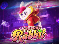 Rabbit
